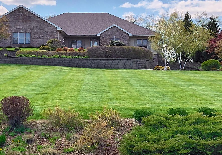 residential lawn cleanup for spring
